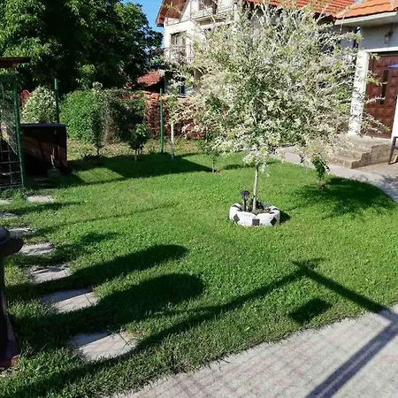 Stankovic Daire