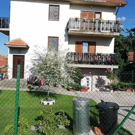 Stankovic Daire